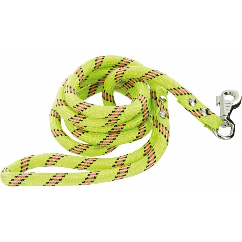 Zolux - Laisse nylon® corde pour chien anis