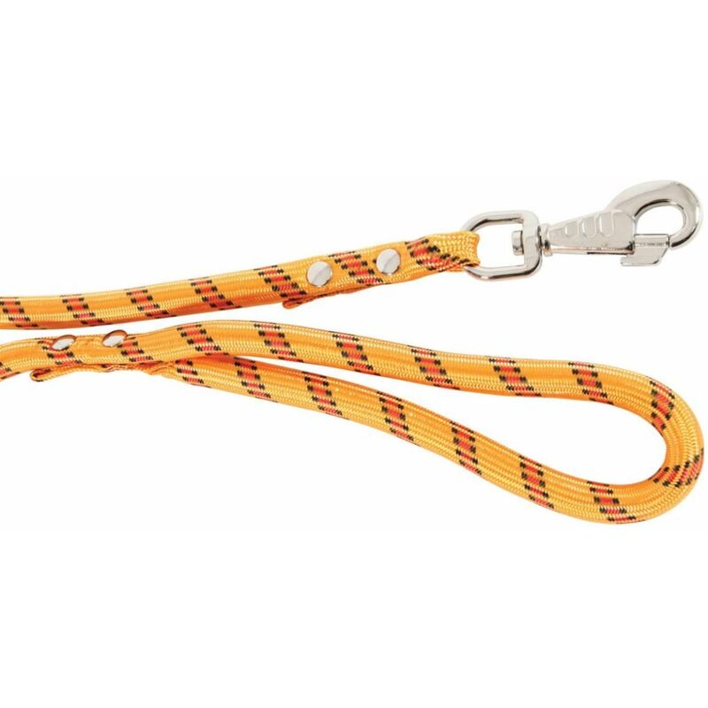 Zolux - Laisse nylon corde 13 mm - longueur 3m - orange