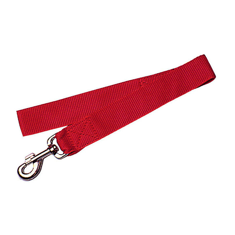 Zolux - Laisse Nylon XL. longueur 60 cm . couleur rouge. laisse pour chien