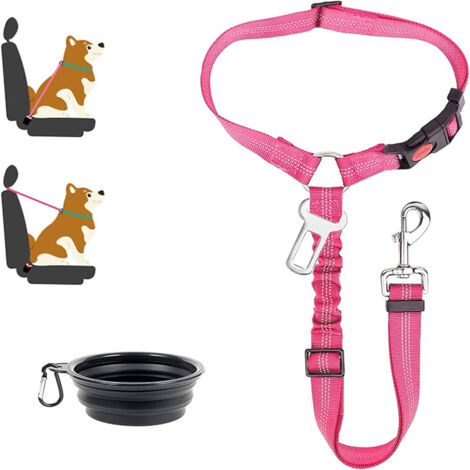 Laisse portable pour chien avec laisse réfléchissante réglable, rose rouge, sans gamelle, taille standard.