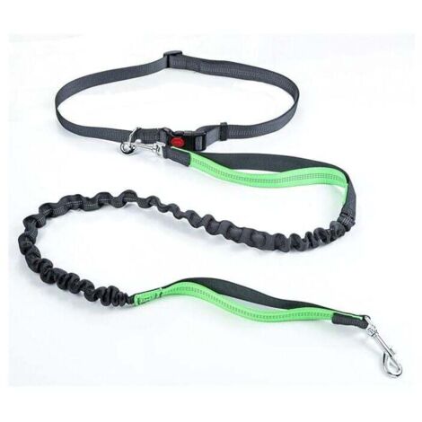 Laisse pour chien avec ceinture réglable, laisse de course et de jogging pour chien