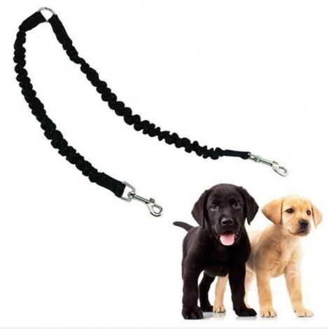 Laisse pour Chien - BH - Réglable - Mains-libres - Nylon - Couleur Noir