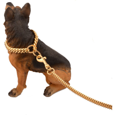 Laisse pour chien en chaîne métallique 10 mm avec poignée rembourrée – Or – Pour chiens de taille moyenne
