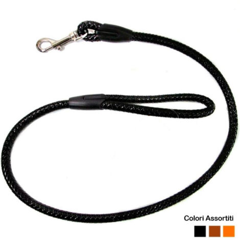Laisse Pour Chien En Corde Tressée Polypropylène Longueur 50cm 3 Couleurs
