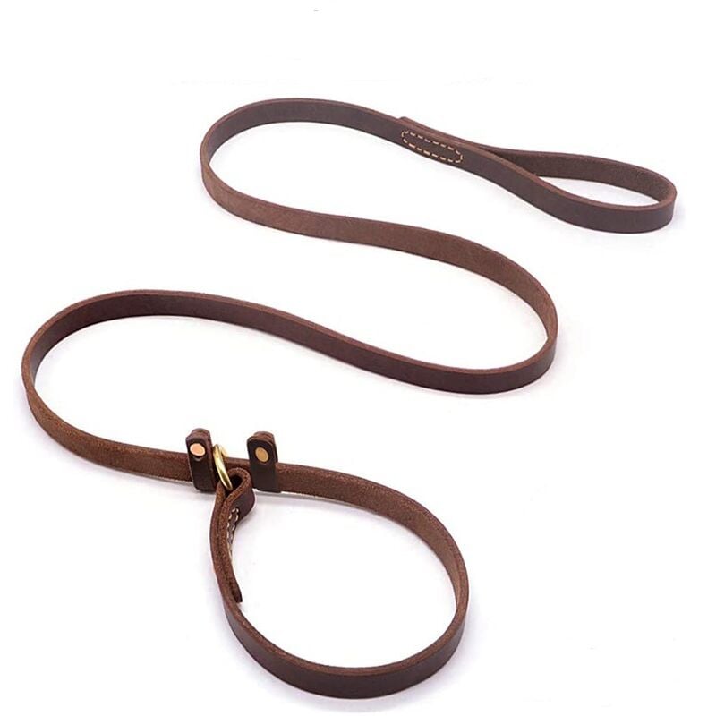 Fei Yu - Laisse pour chien en cuir antidérapante, laisse antidérapante pour animaux de compagnie avec curseur