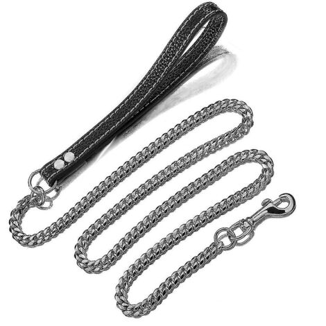 Laisse pour chien en métal argenté de 10 mm avec poignée rembourrée pour chiens de taille moyenne