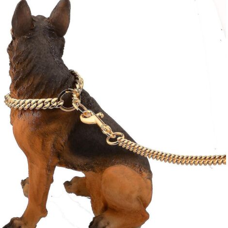 Laisse pour chien en métal de 10 mm avec poignée rembourrée pour chiens de taille moyenne - Or