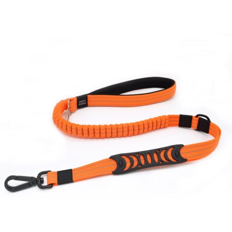 FITAGS Laisse pour Chien Solide avec Poignée Rembourrée Corde Anti-Traction Laisse de Dressage Élastique pour Moyens et Grands Chiens en Fort Tirage (110CM-150CM,orange)-2.5cm