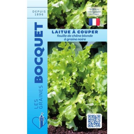 Laitue à couper feuille de chêne blonde à graine noire - 4g