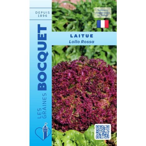 Laitue à couper Lollo Rossa - 3g