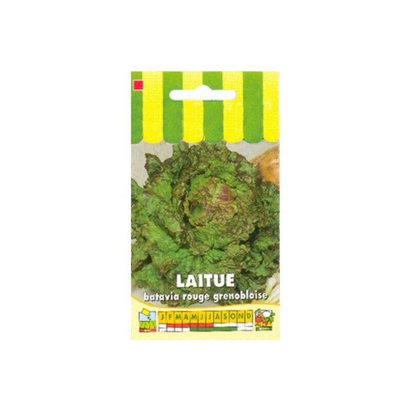 Laitue batavia rouge grenobloise - 4g