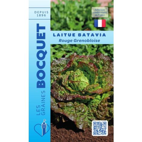 Laitue batavia rouge grenobloise - 4g
