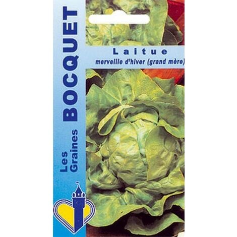 GRAINES BOCQUET Laitue d'hiver Merveille d'hiver - 4g