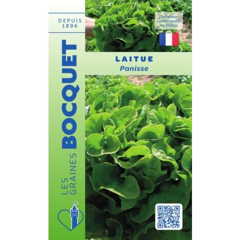Laitue Panisse - 2g
