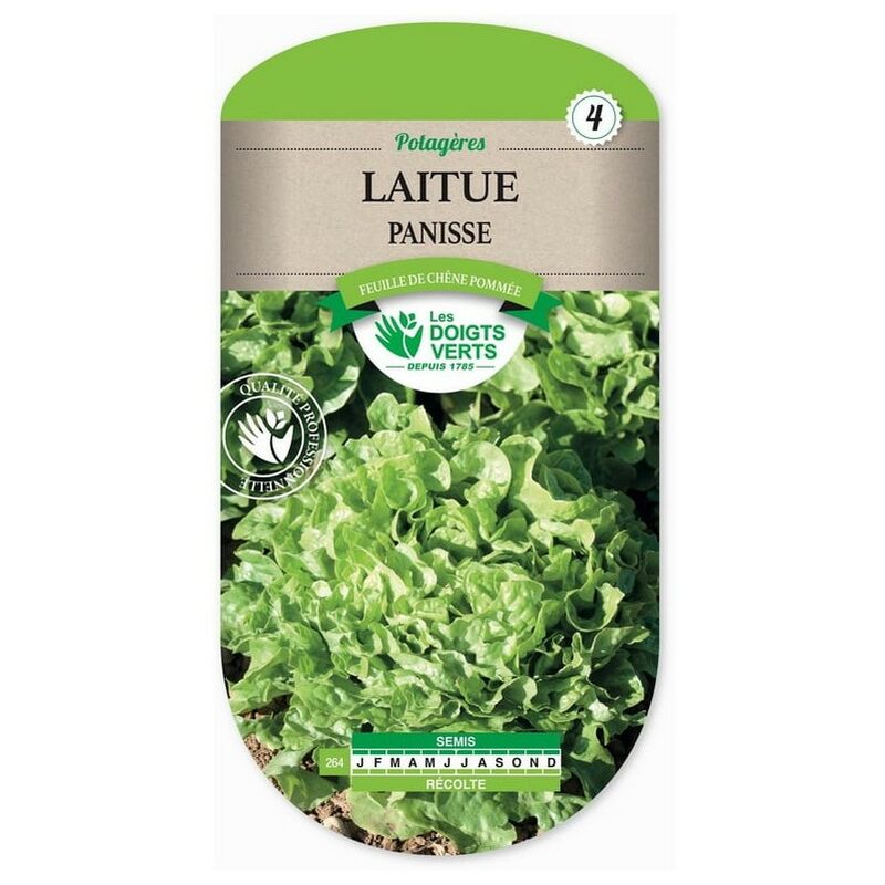 Laitue Panisse