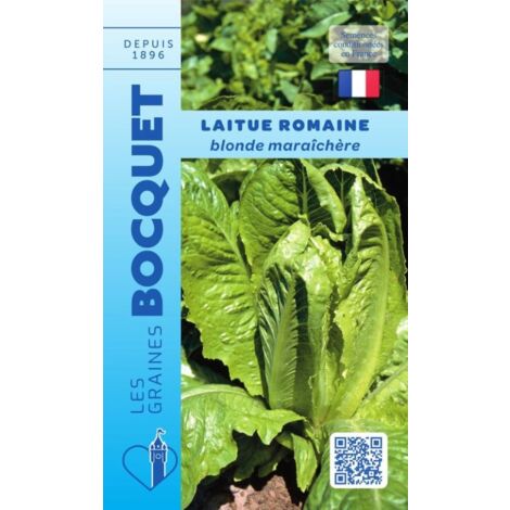 Laitue romaine Blonde maraîchère - 4g