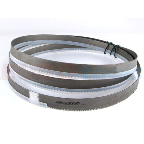 Lama a nastro 6/10 Z/1 1735x13x0,9 mm FEMI NG160 ABS NG160 - 3289963