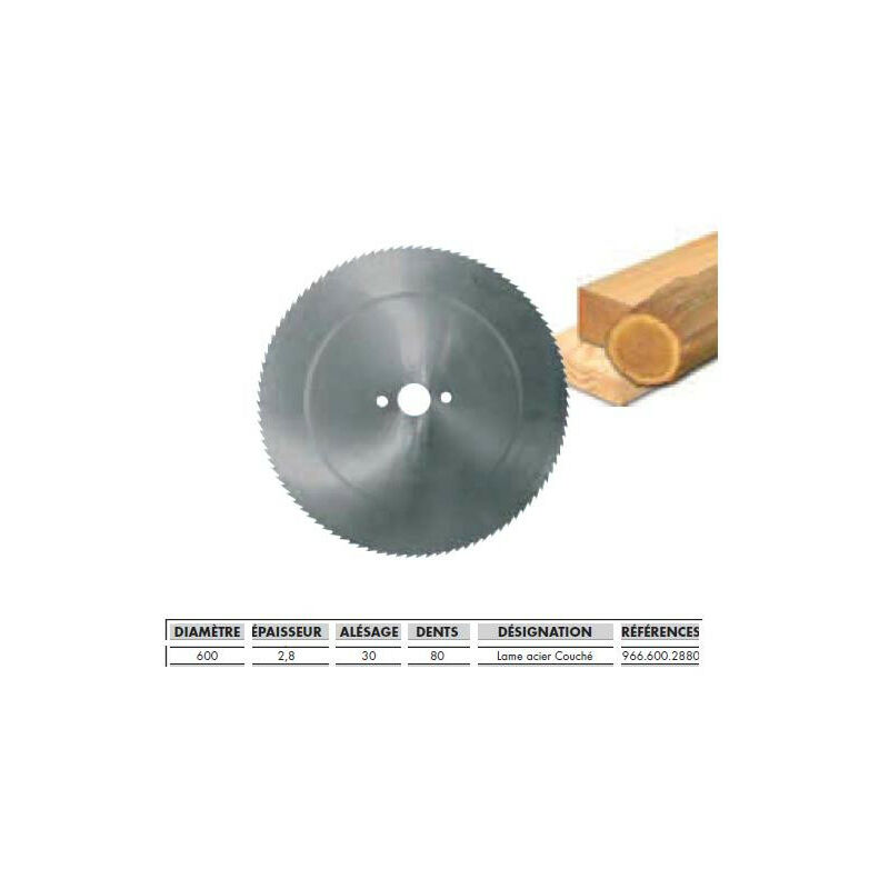 Leman - Lame Acier 600x2.8x30 80 Denture Couchee