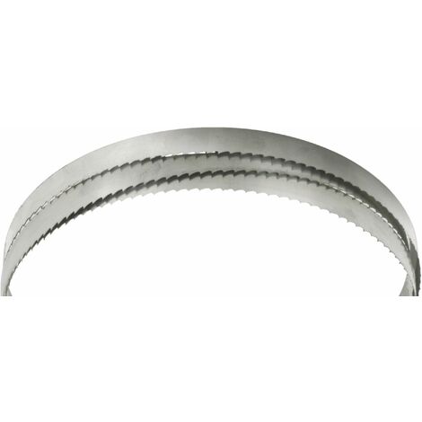 Lame de scie pour bois 3378x16x0,8 mm 4 dents Holzstar 5160403