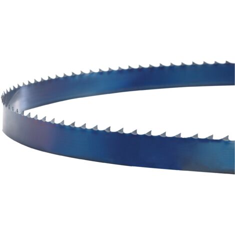 Lame de scie pour bois 3455x6,4x0,64 mm 6 dents Holzstar 5163806