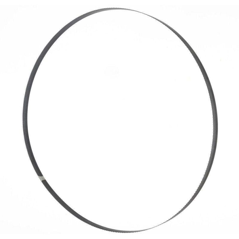 Lame de scie à ruban 1575x10x0,36 mm 6 ZpZ Holzmann Maschinen BSB230B10