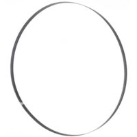 Lame De Scie à Ruban De Précision Pégas® N° 5, 2305 X 1,02 X 0,36 Mm