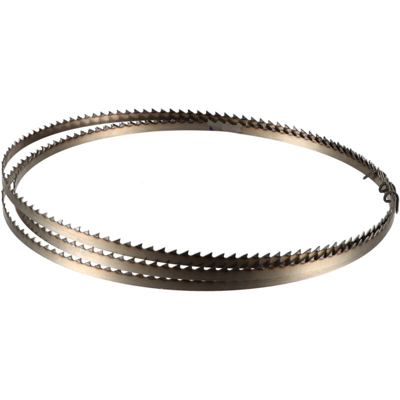 Rotofor - Lame Scie Ruban Bois Acier C75 - 1400 x 6 x 0,5 mm - Denture 4 mm - Réaffûtable - 1400 mm