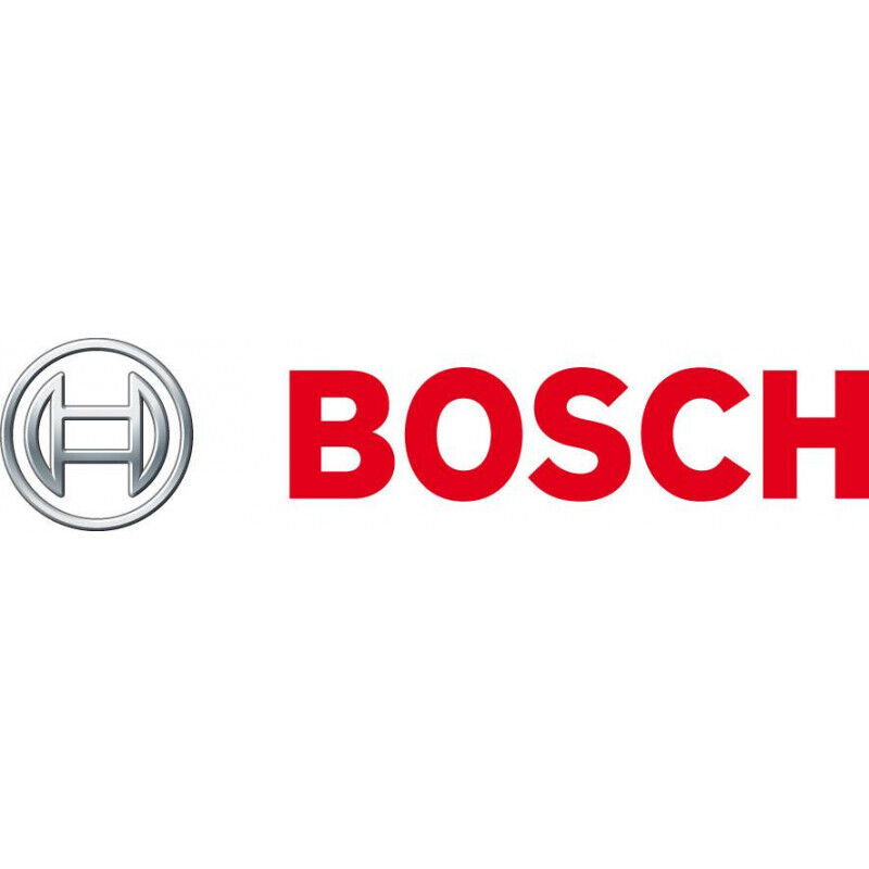 Bosch Lame scie Expert 300 mm