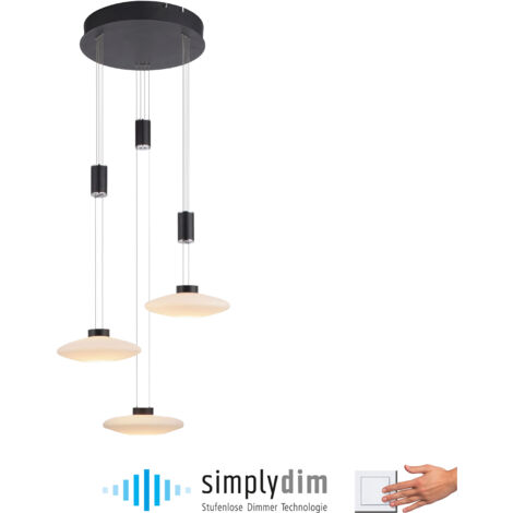 Lampada a sospensione LED Paul Neuhaus Lautada 22,5W