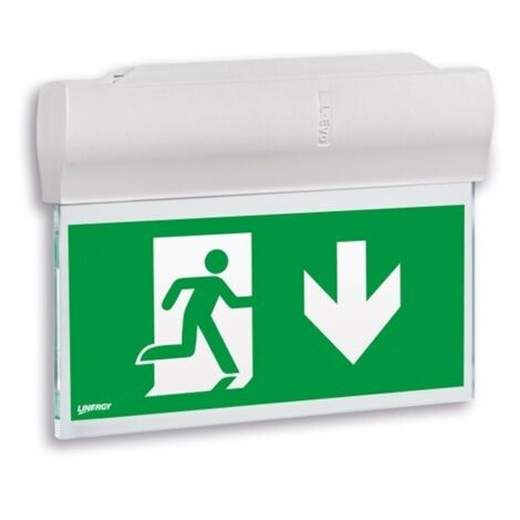 Lampada Emergenza Se/Sa 1H Soffitto Bandiera Ip40 22M ( LINERGY cod. LV1201 )