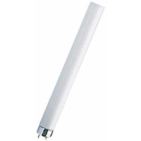 OSRAM Ledvance lampade fluorescenti lineari d 26 mm l 36w/840 flh1 l36840