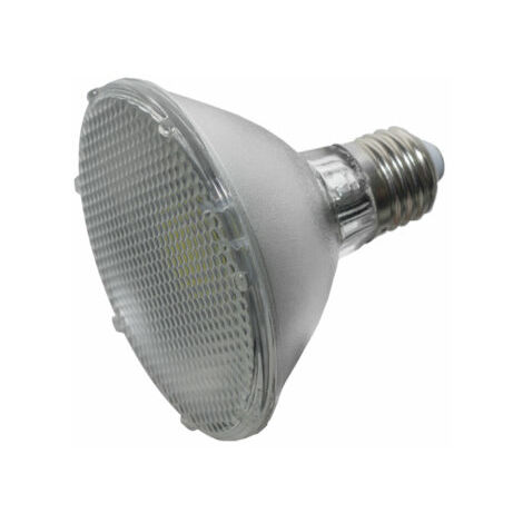 Lampada LED 1 x 10W 1100 Lumen Luce Bianca 6500K