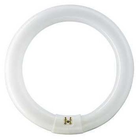 Lampada Master Tl-E Circolare 40W/840