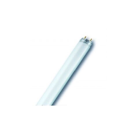 Lampada neon fluorescente F58 T8 33W 4300K GEL00029570 per illuminazione