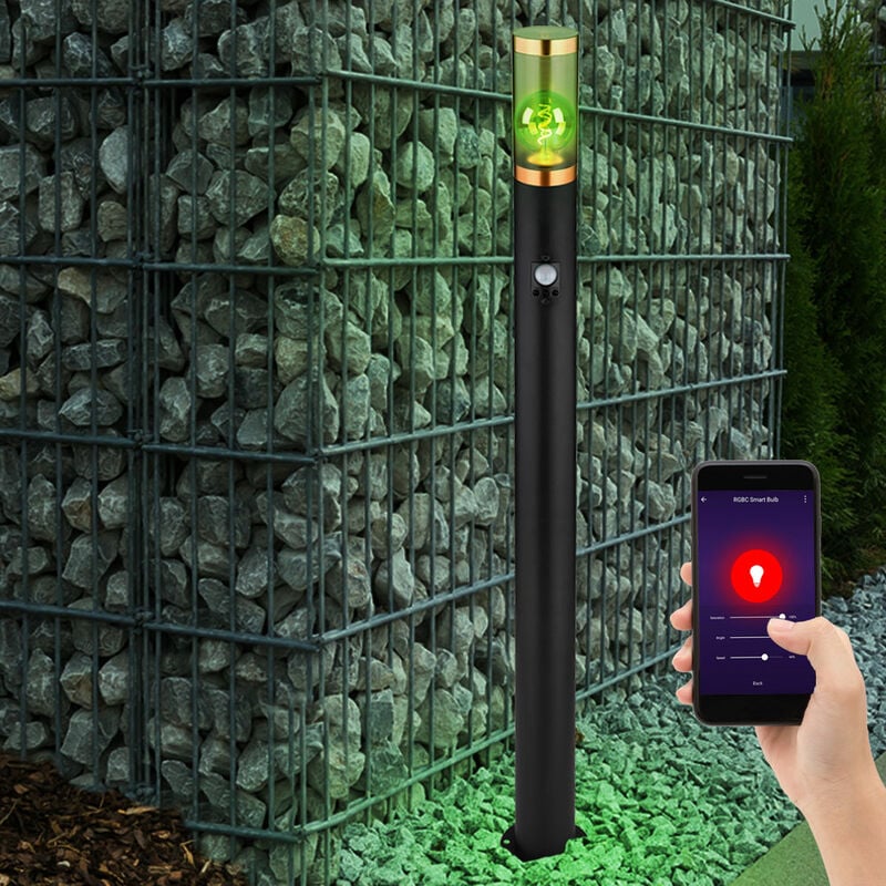 Lampe sur pied Éclairage extérieur Lampadaire avec détecteur de mouvement Jardin Acier inoxydable, commande par app, 1x Smart RGB LED 10W 806Lm, DxH