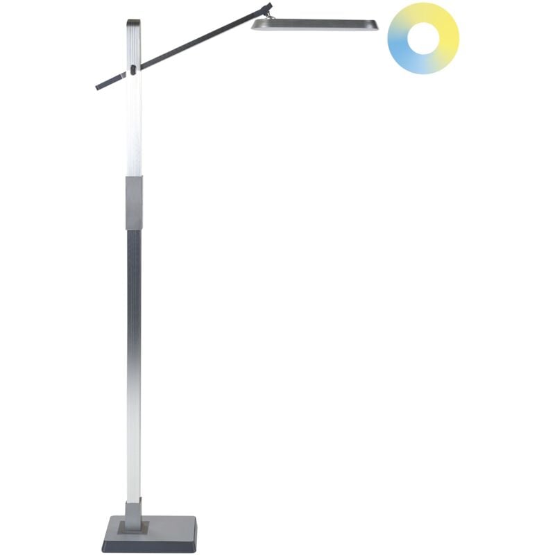 Lampadaire Argenté en Matériaux Synthétiques 144 cm à led Bras Réglable Aquarius