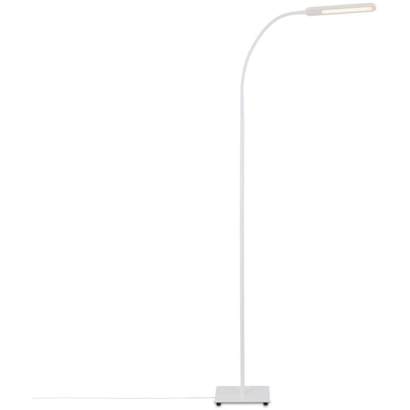 Lampadaire led Brilo ner leuchten servo, 8 w, 600 lm, IP20, blanc, métal-plastique, intensité lumineuse variable, cct, 20,8 x 20,8 x 183 cm