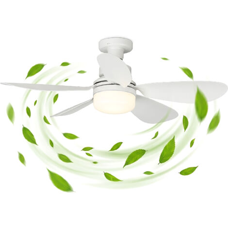 Lampadario Con Ventilatore da Soffitto con Luce LED E27 Avvitabile, Plafoniera con Ventola 2 in 1, Telecomando, 6 Velocità, Timer, Luce Dimmerabile 3000K-6000K, Silenzioso 51 cm