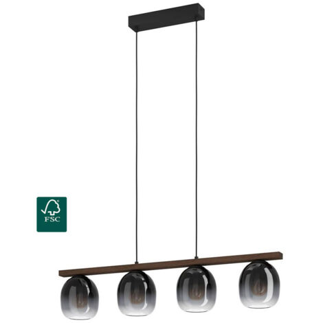 Lampadario Sospeso Filago Eglo 4xE27 Nero Vetro Grigio
