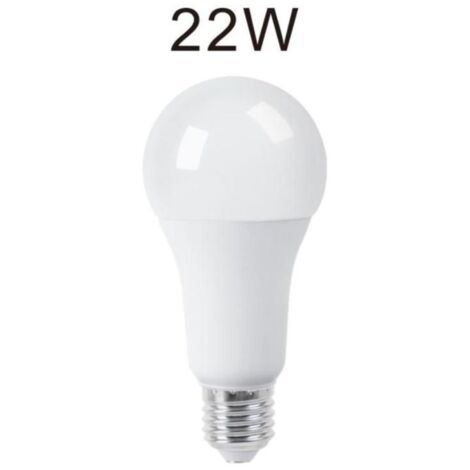 Lampadina Led 22W Luce Fredda E27 A65L Bulbo Bianco Opaco