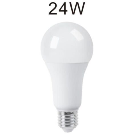 Lampadina Led 24W Luce Fredda E27 A65L Bulbo Bianco Opaco