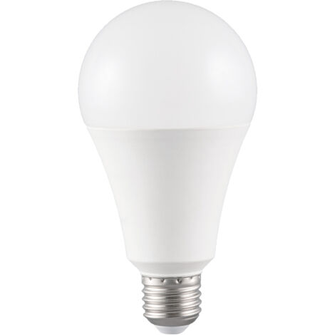 Lampadina LED A60 15W E273000K