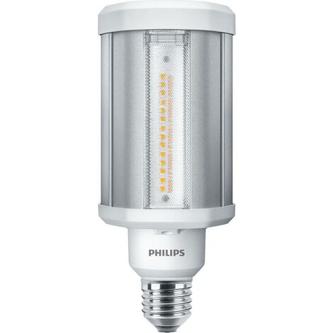 Philips Led Lampadina Smart Dimmerabile Luce Bianca da Calda a Fredda  Attacco E27 100W Goccia - 929002449621