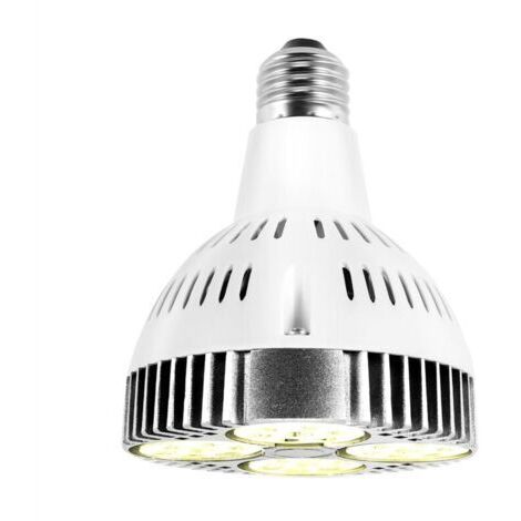 Lampadina LED E27 da 20W, spettro di crescita delle piante, luce bianca calda, per giardini interni e serre.