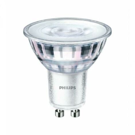 Philips Led Lampadina Smart Dimmerabile Luce Bianca da Calda a Fredda  Attacco E27 100W Goccia - 929002449621