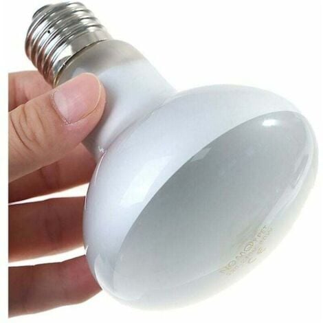 DEBUNS Lampadina UVA + UVB per rettili, lampade UV per tartarughe, lampade riscaldanti, anfibi, lucertole, regolatore di temperatura - 60 W