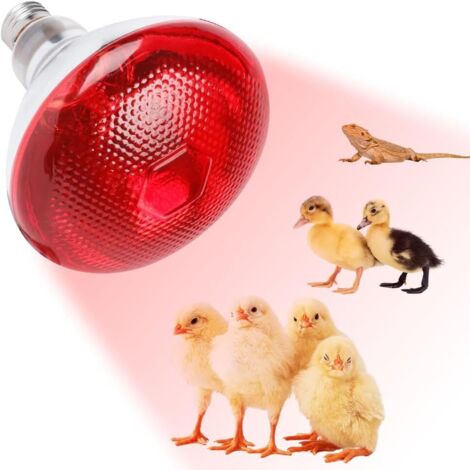 Lámpara de calor para reptiles, bombillas de calor para reptiles de 250 W, bombilla de calor infrarroja E27, para cachorros, pollitos, tortugas, serpientes y hámsteres.