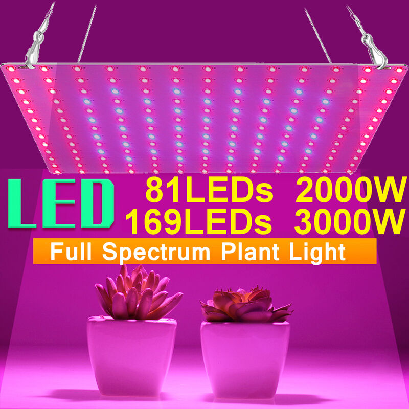 

Lámpara de flor de planta de espectro completo 169LED para hidroponía interior (Tipo 1 (81LED - Enchufe de la UE))