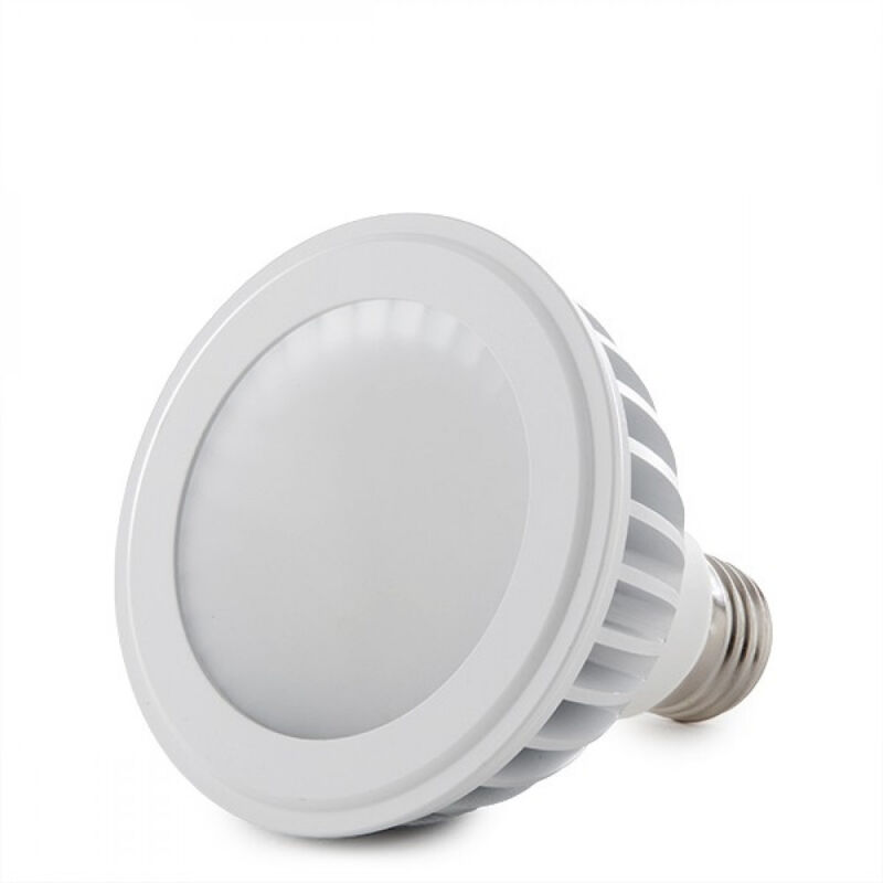 

Greenice - Bombilla LED E27 12W 960Lm 6000ºK PAR30 30.000H [HO-PAR30-12W-CW] | Blanco Frío (HO-PAR30-12W-CW)