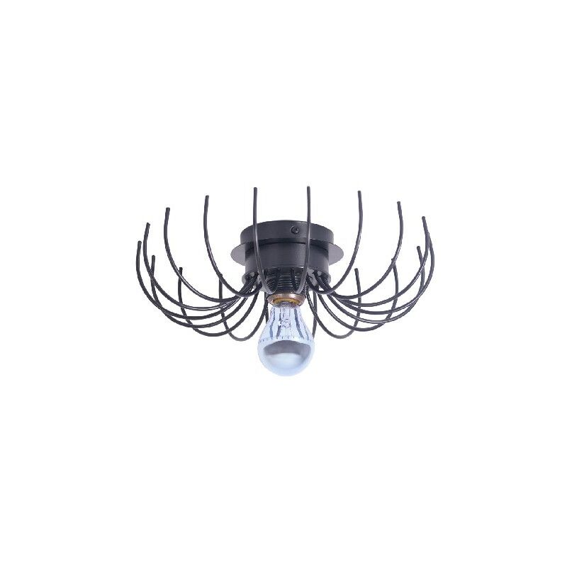 

Lampara de Techo Lion - Luz de techo - de la pared - Negro en Metal, 32 x 32 x 9 cm, 1 x E27, Max 100W
